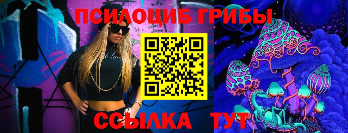 Курчатов  Галлюциногенные грибы Psilocybe  Вход с VPN 